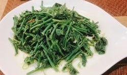 千禾吃瓜,揭秘娱乐圈幕后故事