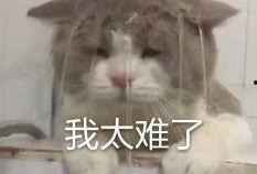 内娱吃瓜群,揭秘娱乐圈幕后风云