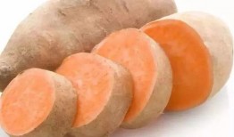 番薯婶吃瓜,番薯婶的瓜田奇遇记