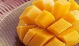 梦见吃芒果最后变成瓜,芒果变瓜的奇幻之旅