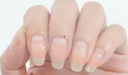 华妃吃瓜指甲,揭秘宫廷中的时尚潮流