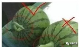 西瓜头吃瓜视频,揭秘网红美食背后的故事