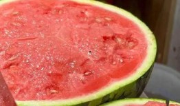 吃瓜生吃,揭秘生吃西瓜的独特风味与养生之道