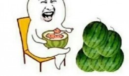 快乐吃瓜8,揭秘娱乐圈幕后故事，带你领略明星们的真实生活