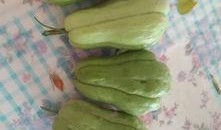 吃瓜大神原创,吃瓜大神独家爆料，带你领略明星幕后故事