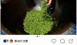 朝堂吃瓜完结文,吃瓜群众见证的宫廷秘事