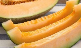 吃瓜频道名字怎么取,一场舌尖上的美食盛宴