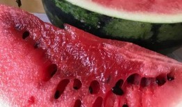 吃瓜吃坏了怎么办,如何应对“吃瓜病”