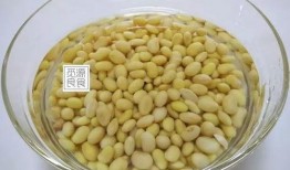 小黄豆骂吃瓜,揭开网络舆论背后的真相