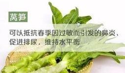 春分后吃啥瓜菜,瓜菜飘香——春分后必尝的时令美味