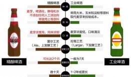 吃瓜群众啤酒人,从街头巷尾到世界舞台的味蕾之旅