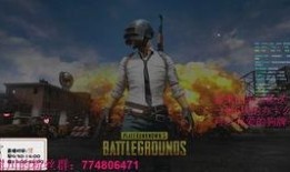 瓜妹解说吃鸡,一场刺激的“吃鸡”之旅