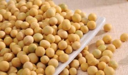 小黄豆骂吃瓜,揭开网络舆论背后的真相