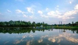 双龙湖 吃瓜,吃瓜群众热议风云