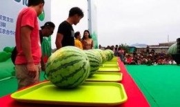 奔跑吧哈密吃瓜,揭秘节目中的吃瓜趣事