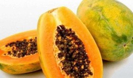 梦见吃瓜还很熟,瓜熟蒂落，味蕾之旅