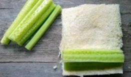 炸裂吃瓜绿茶,揭秘网络现象背后的真相与反思