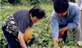 农村公婆另类吃瓜