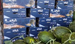 斗牛瓜怎么吃,解锁美味新体验