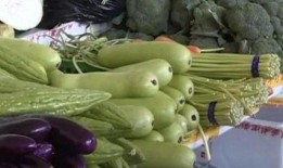 带那吃瓜,揭秘娱乐圈背后的那些事儿