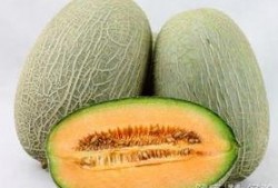 吃烧烤可以吃哈密瓜吗,夏日美食新搭配