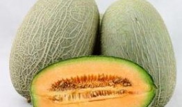 吃烧烤可以吃哈密瓜吗,夏日美食新搭配