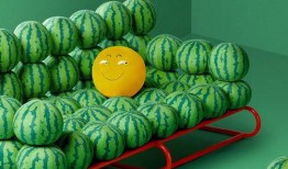 吃瓜乐曲,品味生活百态的旋律之旅