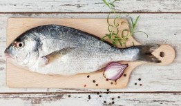 吃爆头八瓜鱼,探寻深海美食传奇