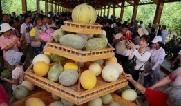 奔跑吧哈密吃瓜,揭秘节目中的吃瓜趣事