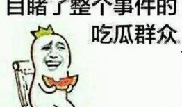 甘做吃瓜群众,揭秘网络围观背后的社会现象