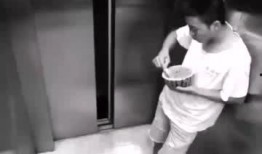 电梯吃瓜被抢,抢瓜大战背后的社会现象解析