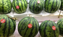 小7吃瓜,揭秘娱乐圈那些不为人知的幕后故事