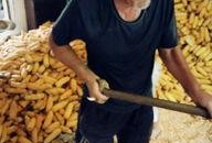 在娘家吃瓜,揭秘家庭温馨时光