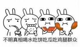 正确的吃瓜群众,吃瓜群众眼中的明星生活