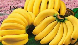 有机香蕉瓜怎么吃最好