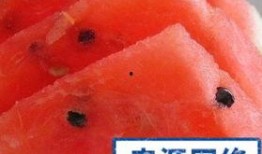 孕反吃瓜吐瓜,孕反中的酸甜苦辣