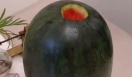 喝啤酒吃咸瓜,夏日消暑美食新搭配