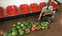 偷项链吃瓜,一场意外的“瓜田”风波