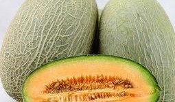 喜欢吃哈密瓜,探寻美味背后的秘密