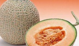 开颅手术可以吃哈密瓜吗,哈密瓜的适宜性探讨